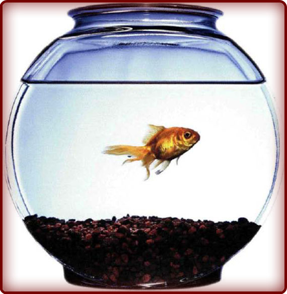 Mixtures and Compounds PowerKnowledge Physical Science