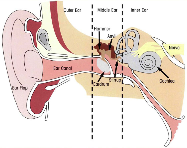 Sound Waves PowerKnowledge Physical Science